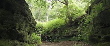 Swallows and Amazons (2016)_The Walkers explore the island