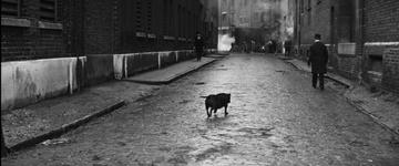 The Elephant Man_Treves and a dog on a cobbled London street