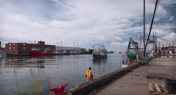 CODA_The Fishing Harbour