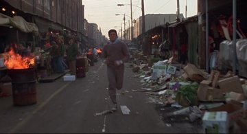 Rocky_Rocky runs along the market