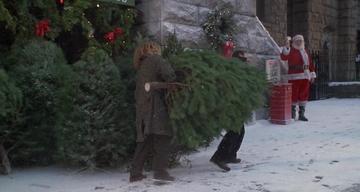 When Harry Met Sally_Buying a christmas tree