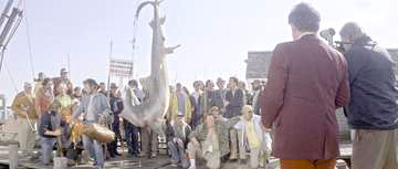 Jaws_The first shark is caught