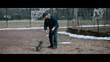 The Drop_Dog walking in the park